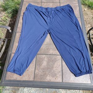 Reebok Pants Men's 6XL Blue Drawstring Fleece Lined Warm-Up w Elastic Ankle